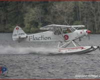 TSR Watermark - 0291